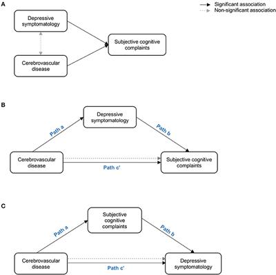 Cerebrovascular Disease and Depressive Symptomatology in Individuals With Subjective Cognitive Decline: A Community-Based Study